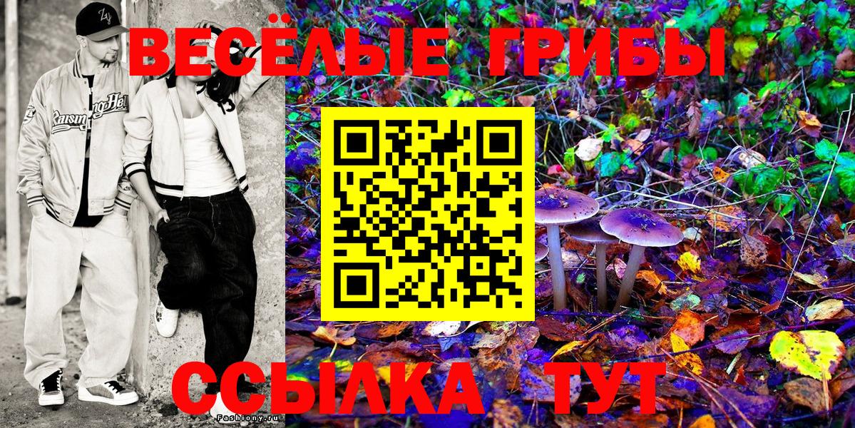 Псилоцибиновые грибы мицелий  Вход с VPN  Галлюциногенные грибы Cubensis  Ялта 