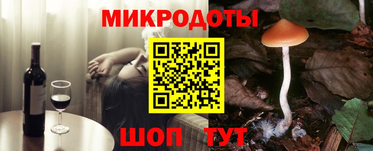 Псилоцибиновые грибы Psilocybe Ялта
